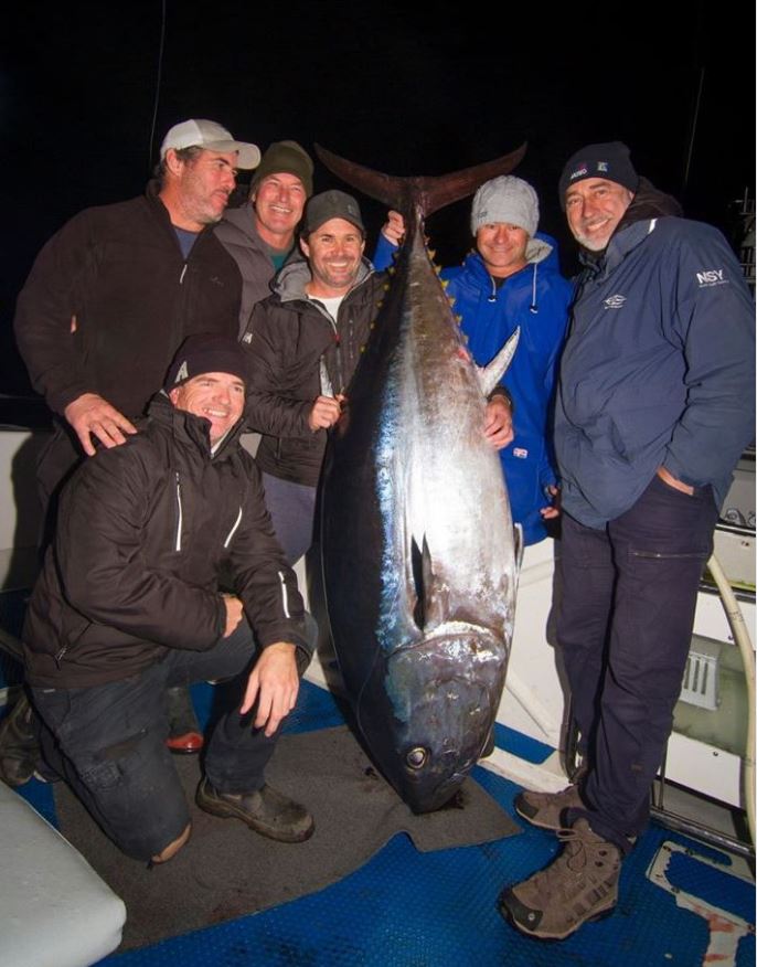 Tagged southern bluefin tuna claimed to be oldest recaptured under CSIRO program